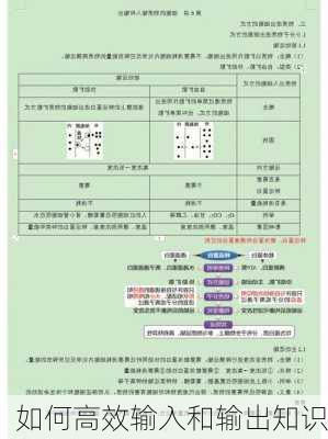 如何高效输入和输出知识
