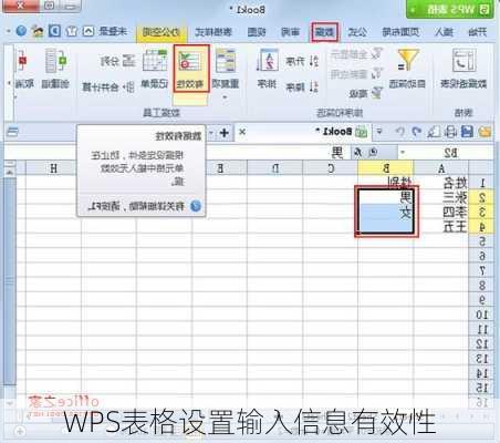 WPS表格设置输入信息有效性
