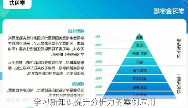 学习新知识提升分析力的案例应用