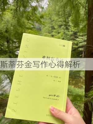 斯蒂芬金写作心得解析