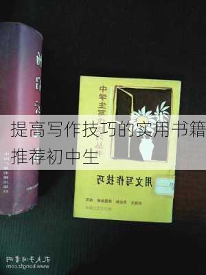 提高写作技巧的实用书籍推荐初中生