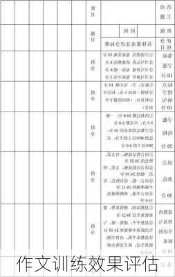 作文训练效果评估