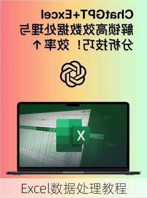 Excel数据处理教程