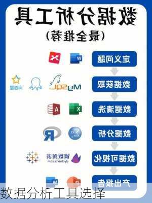 数据分析工具选择