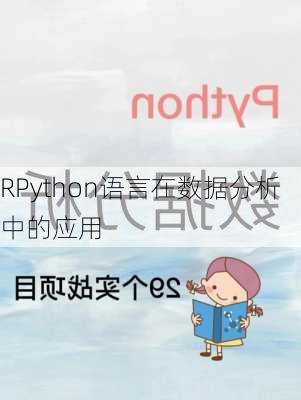 RPython语言在数据分析中的应用