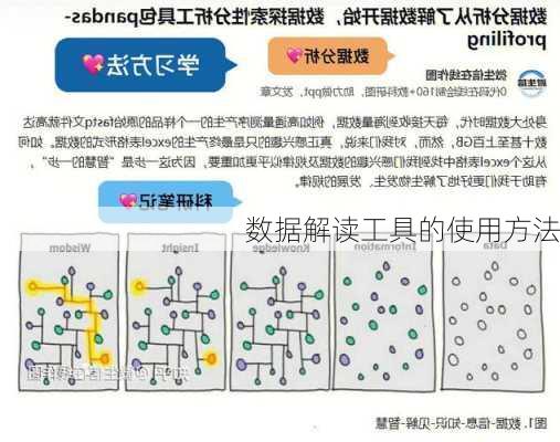 数据解读工具的使用方法
