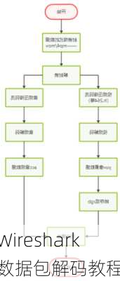Wireshark数据包解码教程