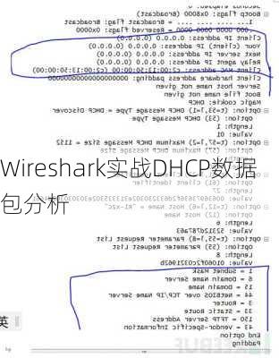Wireshark实战DHCP数据包分析