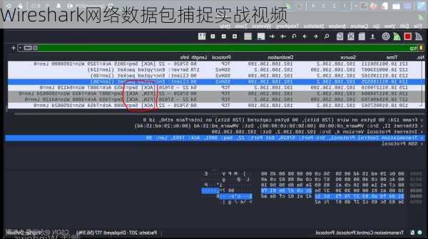 Wireshark网络数据包捕捉实战视频