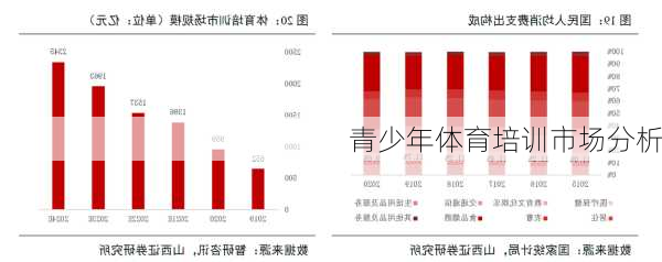 青少年体育培训市场分析