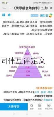 同伴互评定义
