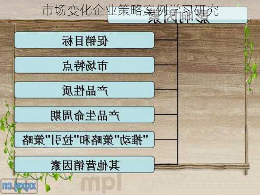 市场变化企业策略案例学习研究