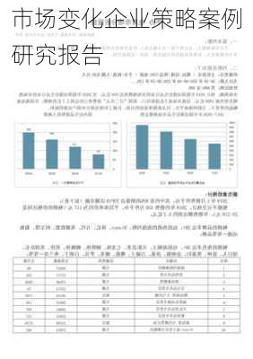 市场变化企业策略案例研究报告