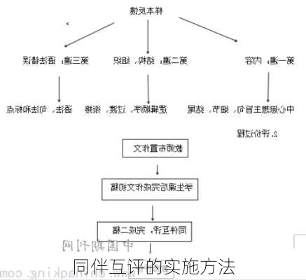 同伴互评的实施方法