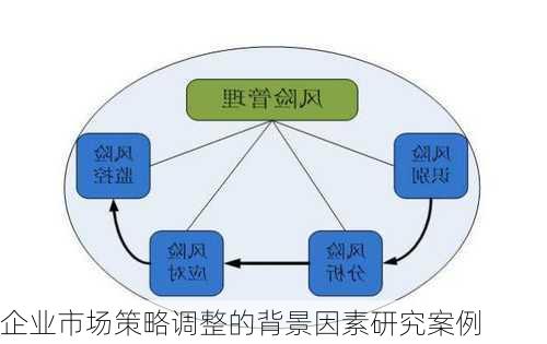 企业市场策略调整的背景因素研究案例