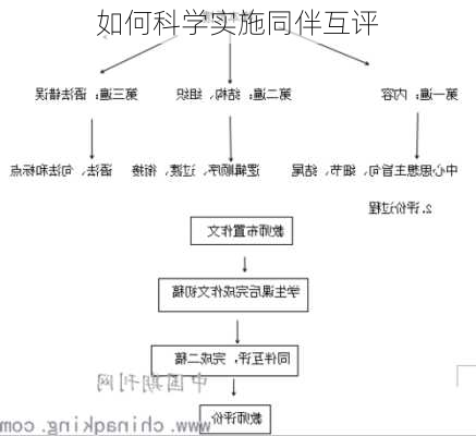 如何科学实施同伴互评