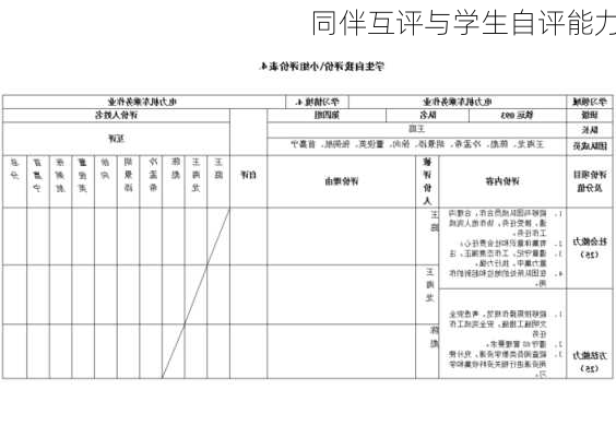 同伴互评与学生自评能力