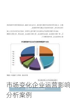 市场变化企业运营影响分析案例