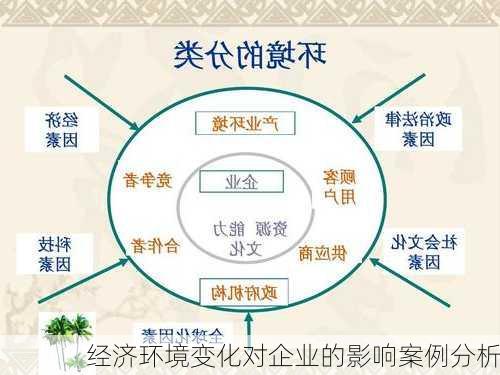 经济环境变化对企业的影响案例分析