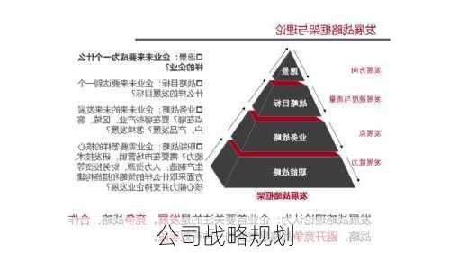 公司战略规划