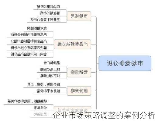 企业市场策略调整的案例分析
