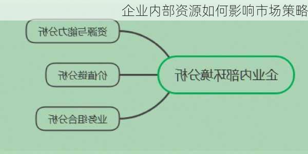 企业内部资源如何影响市场策略