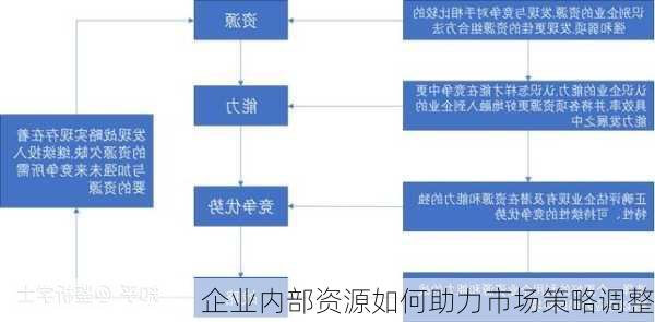 企业内部资源如何助力市场策略调整