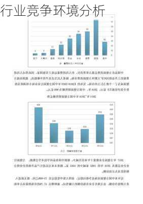 行业竞争环境分析