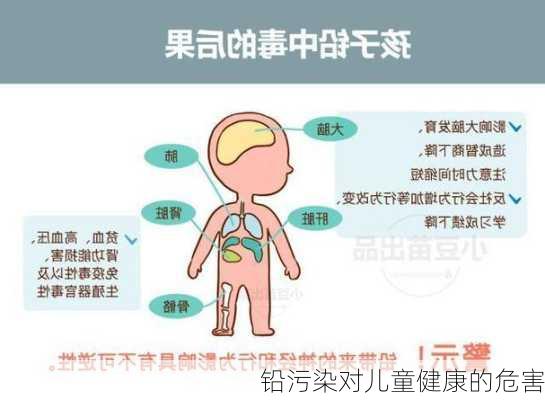 铅污染对儿童健康的危害