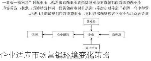 企业适应市场营销环境变化策略