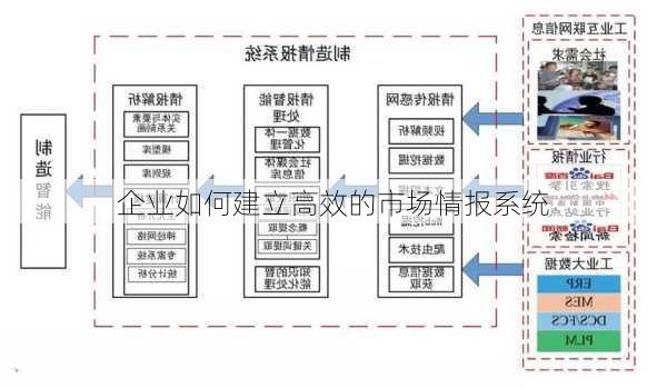 企业如何建立高效的市场情报系统