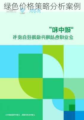 绿色价格策略分析案例