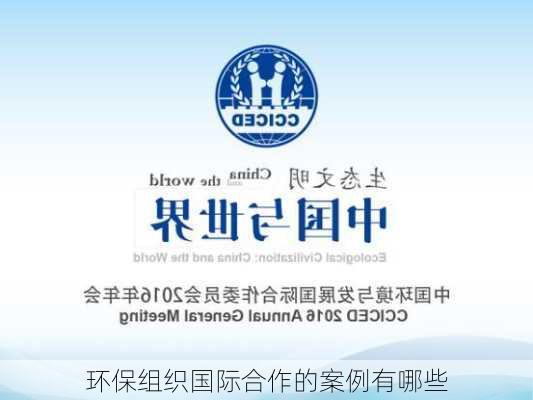 环保组织国际合作的案例有哪些