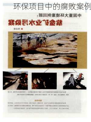 环保项目中的腐败案例