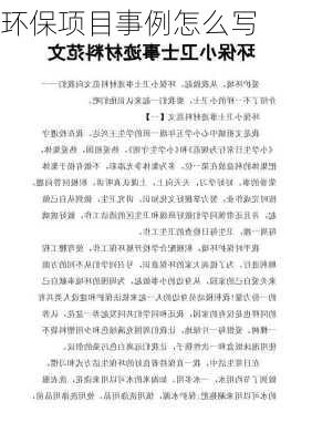 环保项目事例怎么写