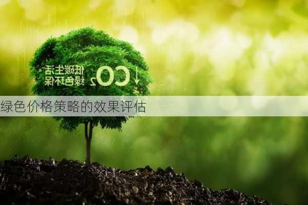 绿色价格策略的效果评估