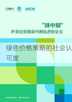 绿色价格策略的社会认可度