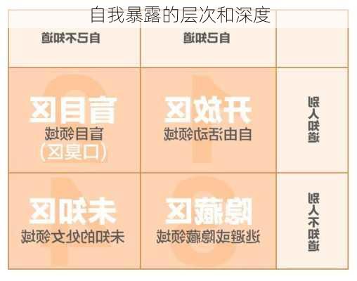 自我暴露的层次和深度