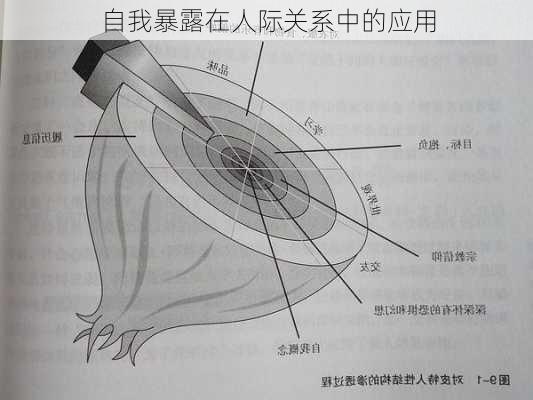自我暴露在人际关系中的应用