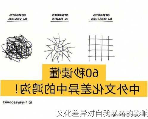 文化差异对自我暴露的影响