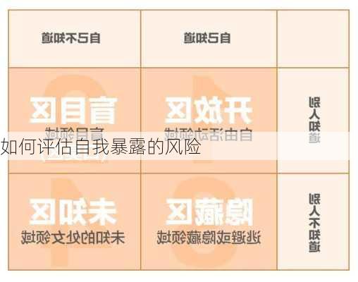 如何评估自我暴露的风险