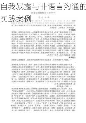 自我暴露与非语言沟通的实践案例