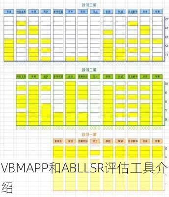 VBMAPP和ABLLSR评估工具介绍