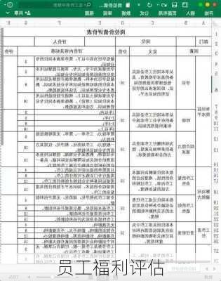 员工福利评估