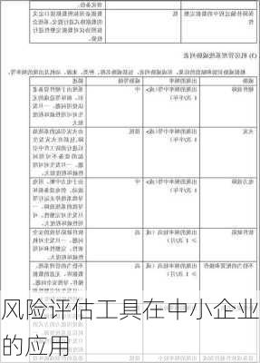 风险评估工具在中小企业的应用