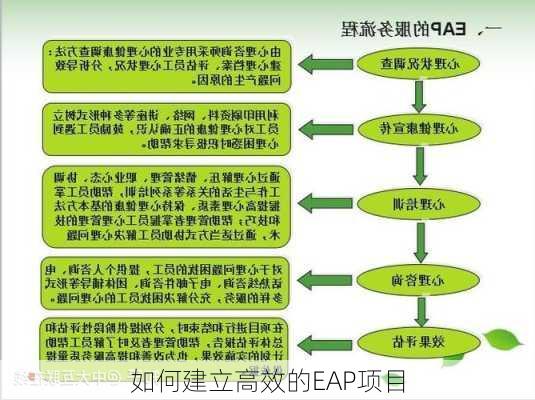 如何建立高效的EAP项目