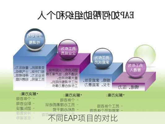 不同EAP项目的对比