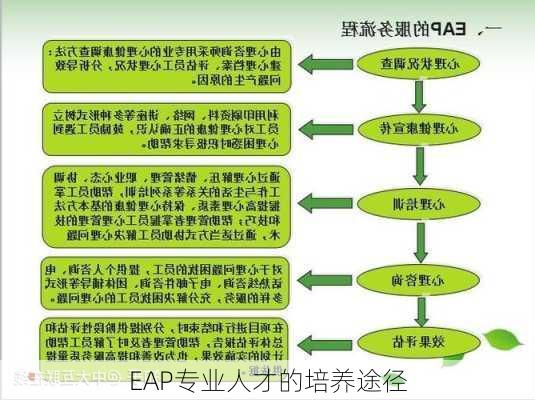 EAP专业人才的培养途径
