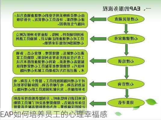 EAP如何培养员工的心理幸福感