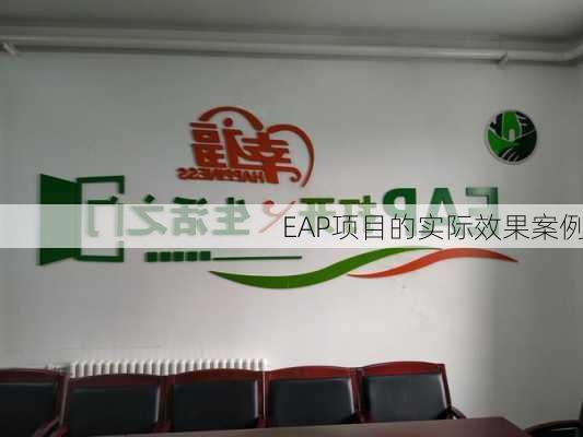 EAP项目的实际效果案例